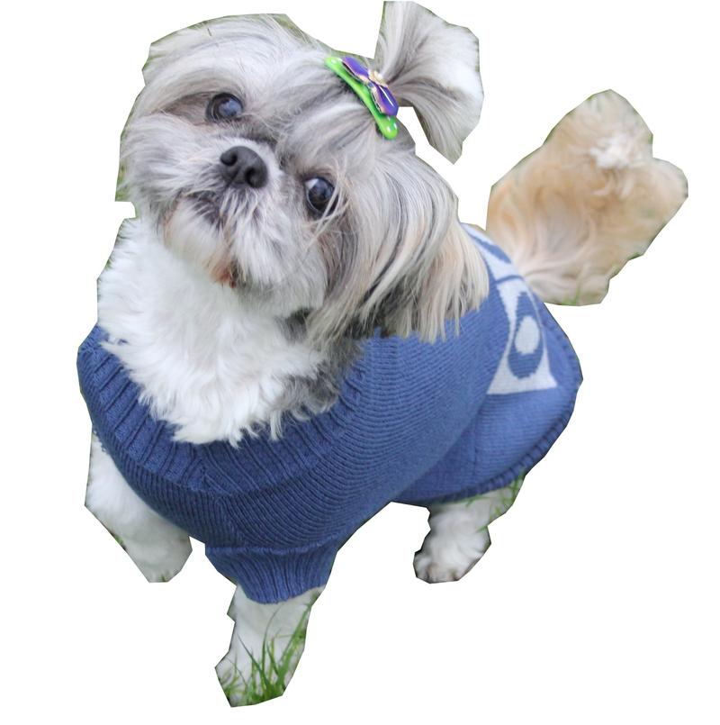 Jak zmierzyć shih tzu do ubranka