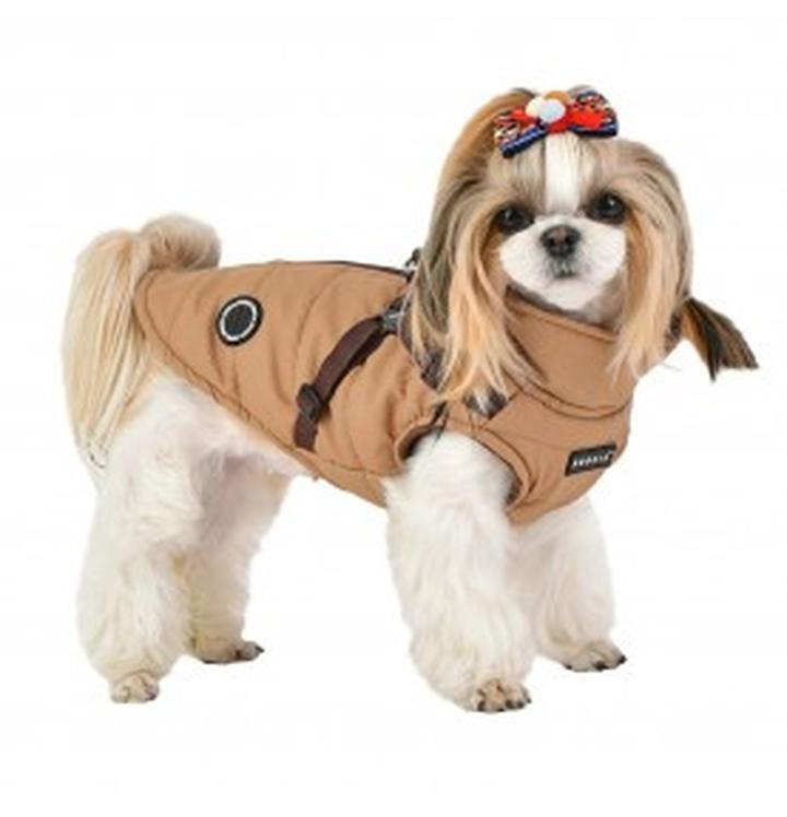 Przewodnik po ubrankach dla shih tzu